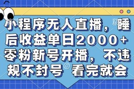 （13251期）小程序无人直播，睡后收益单日2000  零粉新号开播，不违规不封号 看完就会
