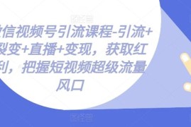 微信视频号引流课程-引流 裂变 直播 变现，获取红利，把握短视频超级流量风口