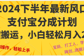 （12861期）2024年下半年最新风口，一键搬运，小白轻松月入2W 