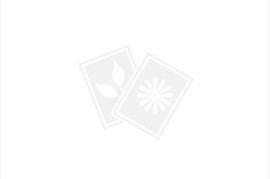 苹果5论坛(iphone5论坛)