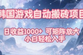 韩国游戏自动搬砖项目，日收益1k ，可矩阵放大，小白轻松入手【揭秘】