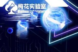 视频号连怼玩法-5760大尺寸去重AB技术-梅花实验室社群专享