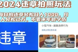 （11743期）2024违章拍照新玩法，推广躺赚 拍照赚钱双模式，日入1000 