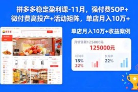 （16473期）拼多多稳定盈利课-11月，强付费SOP 微付费高投产 活动矩阵，单店月入10万 