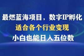 （12941期）最燃蓝海项目 数字IP孵化 适合各个行业变现 小白也能日入5位数