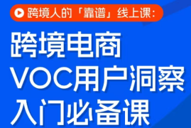 跨境电商VOC用户洞察入门必备课