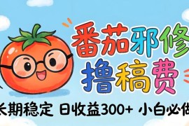番茄撸金术：日入300 稳如泰山！独家玩法曝光，操作门槛极低，无需经验，小白闭眼上车【揭秘】