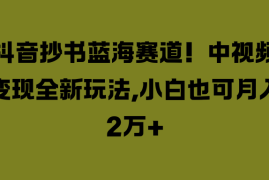 抖音抄书蓝海赛道！中视频变现全新玩法，小白也可月入2万 