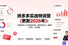 拼多多实战特训营(更新2026年
