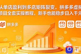 从单店盈利到多店矩阵裂变，拼多多虚拟项目全套实操教程，新手也能稳步日入千元
