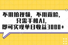 （17310期）不用拍视频，不用露脸，只需手机ai，即可实现单日收益3000 