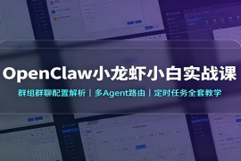 OpenClaw小龙虾小白实战课：群组群聊配置解析，多Agent路由，定时任务全套教学