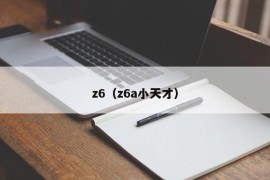 z6（z6a小天才）