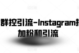 社交群控引流-Instagram批量加粉和引流