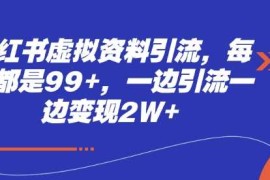 小红书虚拟资料引流，每天都是99 ，一边引流一边变现2W 