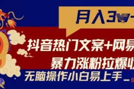 抖音热门文案 网易云截图暴力涨粉拉爆收益玩法，小白无脑操作，简单易上手【揭秘】