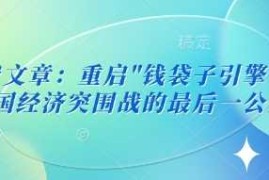 付费文章：重启”钱袋子引擎”：中国经济突围战的最后一公里