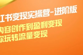 （12234期）小红书变现实操营-进阶版：从内容创作到盈利变现，带你玩转流量变现