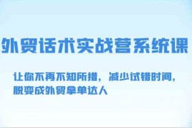 外贸话术实战营系统课-让你不再不知所措，减少试错时间，脱变成外贸拿单达人