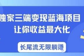 独家三端变现蓝海项目，让你收益最大化，长尾流无限躺挣