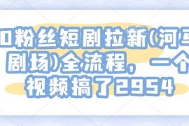 0粉丝短剧拉新(河马剧场)全流程，一个视频搞了2954