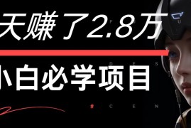 7天赚了2.8万！每单利润最少500 ，轻松月入7万 小白有手就行