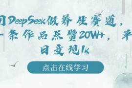 用DeepSeek做养生赛道，一条作品点赞20W ，单日变现1k