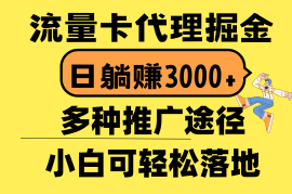 （10771期）流量卡代理掘金，日躺赚3000 ，首码平台变现更暴力，多种推广途径，新…
