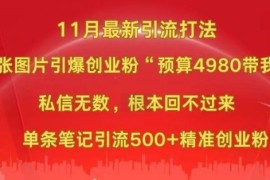 小红书11月最新图片打粉，一张图片引爆创业粉，“预算4980带我飞”，单条引流500 精准创业粉