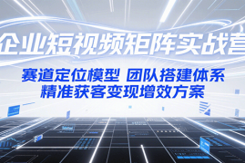 企业短视频矩阵实战营：赛道定位模型 团队搭建体系 精准获客变现增效方案