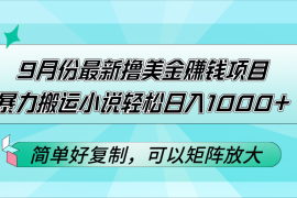 （12487期）9月份最新撸美金赚钱项目，暴力搬运小说轻松日入1000 ，简单好复制可以…