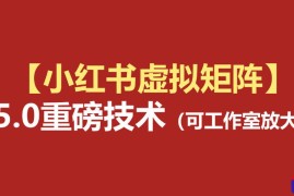 小红书虚拟矩阵5.0：AI原创虚拟品 4带1自动化AI发笔记 测款怼款双模式(可工作室放大)
