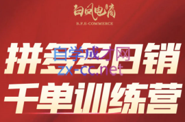 白凤电商·拼多多日销千单训练营(更新2月)
