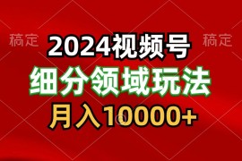 2024视频号分成计划细分领域玩法，每天5分钟，月入1W 