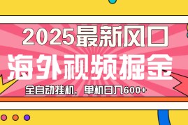 （13649期）最近风口，海外视频掘金，看海外视频广告 ，轻轻松松日入600 