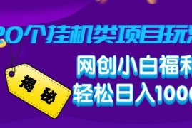 （14168期）揭秘20种挂机类项目玩法，网创小白福利轻松日入1000 