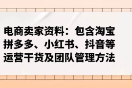 （14354期）电商卖家资料：包含淘宝、拼多多、小红书、抖音等运营干货及团队管理方法