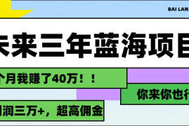（11716期）未来三年，蓝海赛道，月入3万 