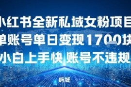 小红书全新私域女粉项目单账号单日变现多张，小白上手快账号不违规建议准备多账号操作