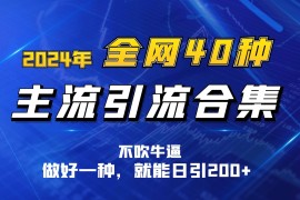 2024年全网40种暴力引流合计，做好一样就能日引100 