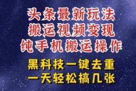 今日头条纯搬运玩法，轻松过原创不违规，轻松日入三位数，稳的很