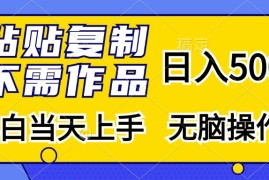 （13242期）粘贴复制，无需作品，日入500 ，小白当天上手，无脑操作