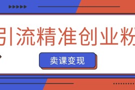 抖音引流精准创业粉卖课变现 零基础带你拆解本教程