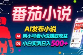 （15665期）稳定3年番茄小说AI写小说赚取稿费，多号看小说赚取收益，小白实测单日500 