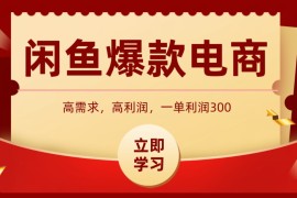 闲鱼卖高利润产品，上架即可出单，每天利润1000＋