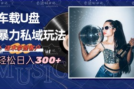 车载U盘暴力私域玩法，轻松日入300 