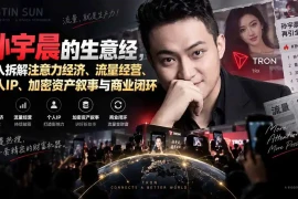 某星球精华文章——孙宇晨的生意经，深入拆解注意力经济、流量经营、个人IP、加密资产叙事与商业闭环