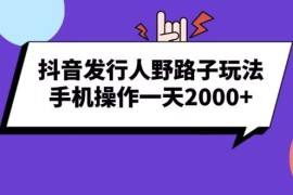（13657期）抖音发行人野路子玩法，手机操作一天2000 