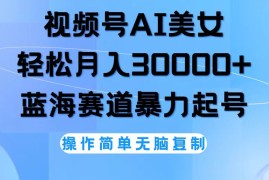 （12125期）视频号AI美女跳舞，轻松月入30000 ，蓝海赛道，流量池巨大，起号猛，无…