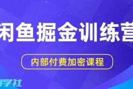 闲鱼掘金训练营，双重暴力变现，日入2张 ，小白也能轻松上手